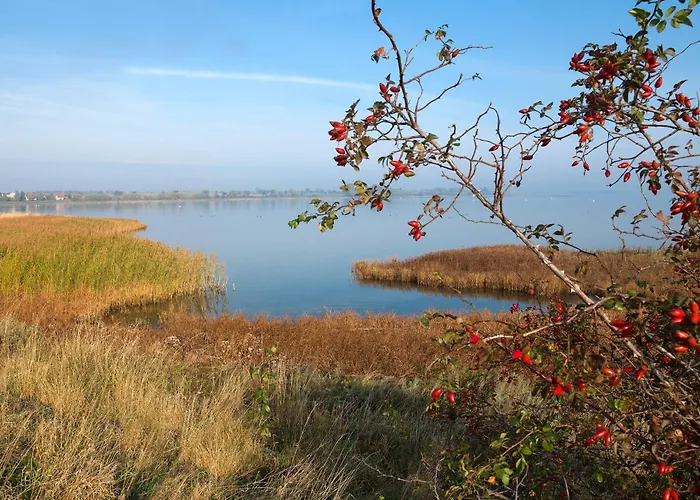 Lejlighed Ostsee Residenz Meeresblick Duenenblick