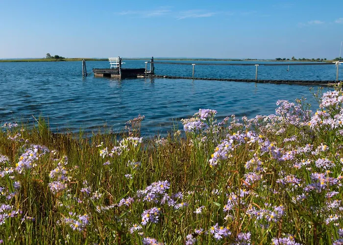 Lejlighed Ostsee Residenz Meeresblick Duenenblick Poel